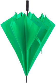 De�tn�k Maximus, zelen�