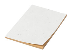 Blok se sem�nky Semeno Note, p��rodn�