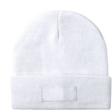 Zimn� �epice Pronsen, b�l�