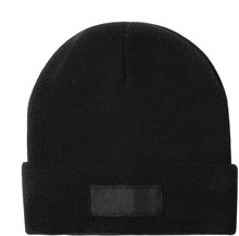 Zimn� �epice Pronsen, �ern�