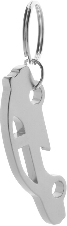 P��v�ek na kl��e Samy, st��brn�