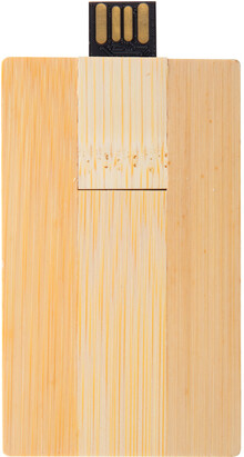 USB flash disk Bambusb, p��rodn�