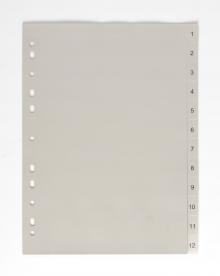 Roz�a�ova� Karton PP A4, 1 - 12, 12 list�