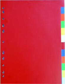 Roz�a�ova� Karton PP A4, mix barev, 12 list�