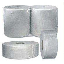 Toaletn� pap�r Satino Jumbo 190, 2 vrstvy, celul�za, n�vin 120m (12ks v balen�)