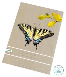 Se�it �koln� recyklovan� 465, �tvere�kovan�, 60l