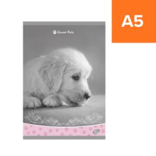 Pozn�mkov� se�it Ml��ata II, A5, linkovan�, mix 6 motiv�, 40 list�