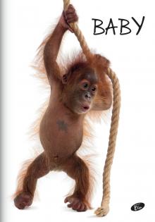 SE�IT POZN�MKOV� Ml��ata, A5, 40 list�, linka, mix 6 motiv�