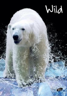 SE�IT POZN�MKOV� Divok� p��roda, A4, 40 list�, linka, mix 6 motiv�