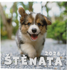 Kalend nstnn LP tata