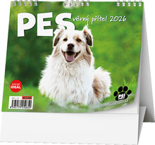 Kalend�� stoln� IDE�L - Pes